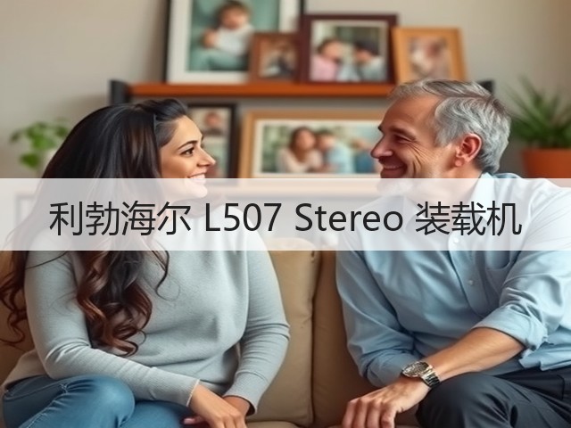 利勃海尔 L507 Stereo 装载机(图1)