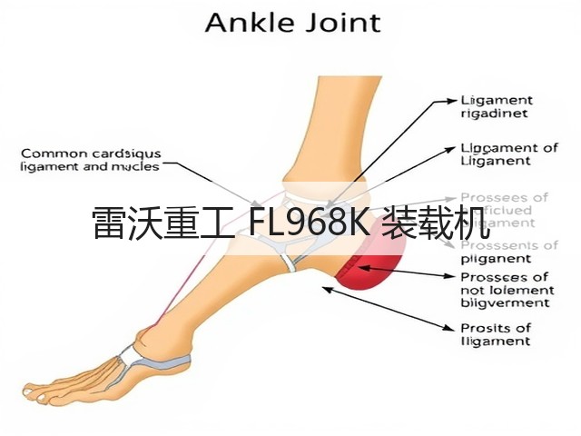 雷沃重工 FL968K 装载机(图2)