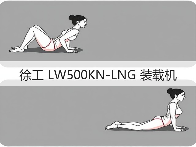 徐工 LW500KN-LNG 装载机(图2) 徐工 LW500KN-LNG 装载机(图2)