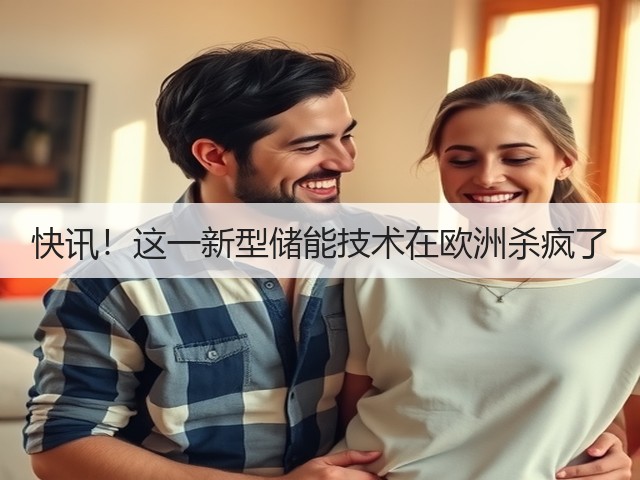 快讯!这一新型储能技术在欧洲杀疯了(图2) 快讯!这一新型储能技术在欧洲杀疯了(图2)