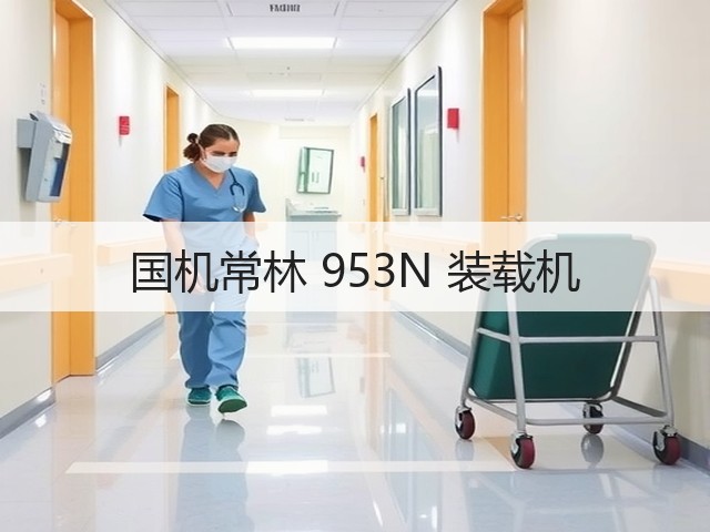 国机常林 953N 装载机(图3)