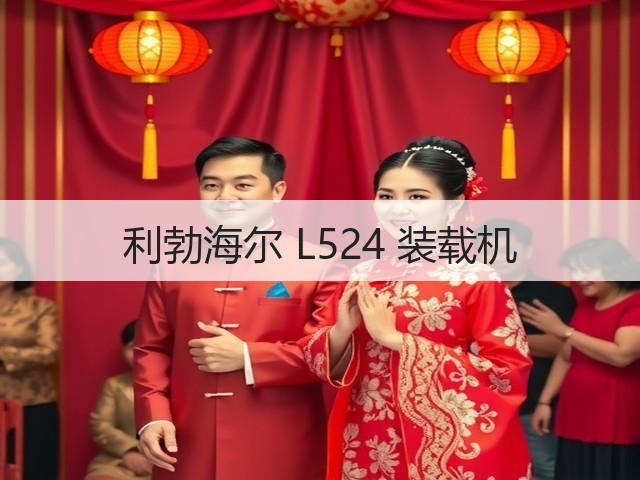 利勃海尔 L524 装载机(图1) 利勃海尔 L524 装载机(图1)