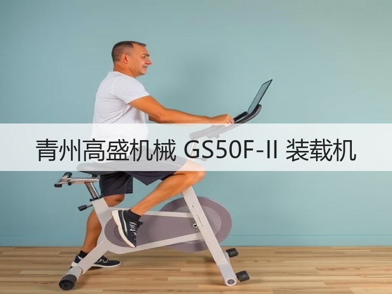 青州高盛机械 GS50F-II 装载机 青州高盛机械 GS50F-II 装载机