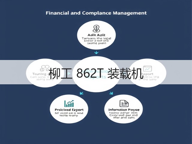 柳工 862T 装载机(图1)