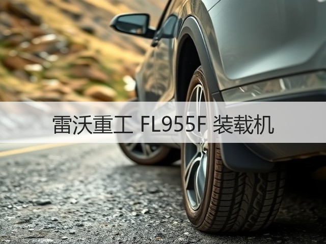 雷沃重工 FL955F 装载机(图3) 雷沃重工 FL955F 装载机(图3)