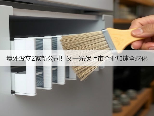 境外设立2家新公司！又一光伏上市企业加速全球化(图2)