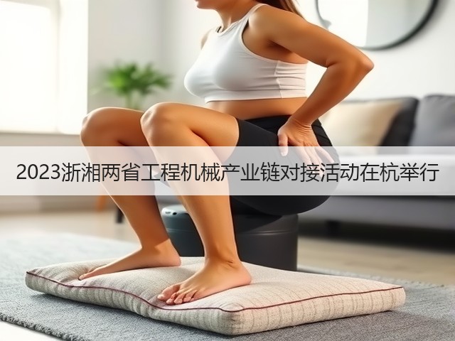 2023浙湘两省工程机械产业链对接活动在杭举行(图2) 2023浙湘两省工程机械产业链对接活动在杭举行(图2)