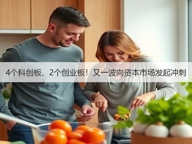 4个科创板、2个创业板!又一波向资本市场发起冲刺(图3) 4个科创板、2个创业板!又一波向资本市场发起冲刺(图3)