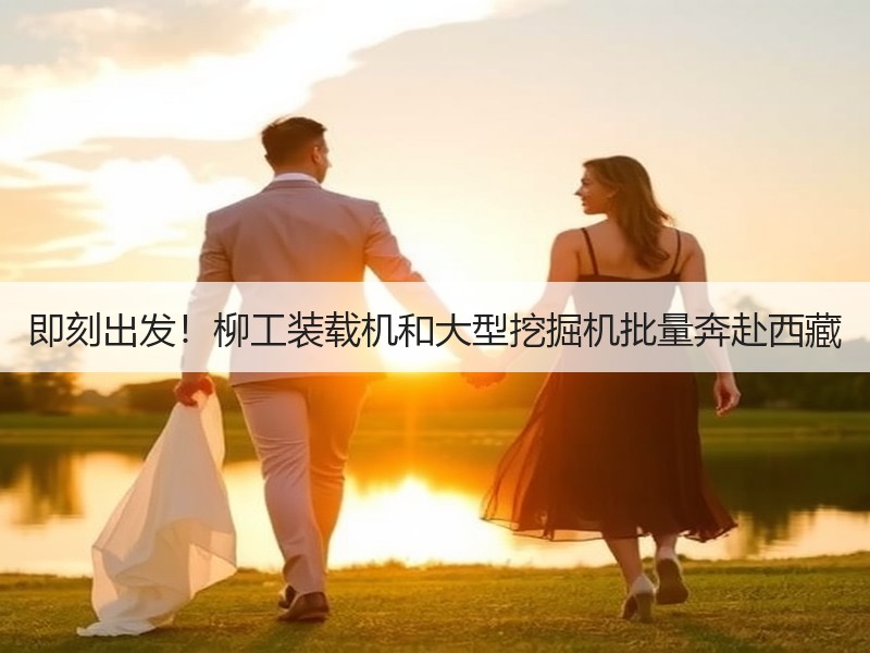 即刻出发！柳工装载机和大型挖掘机批量奔赴西藏
