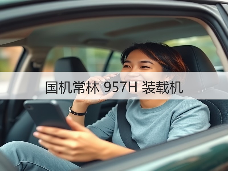 国机常林 957H 装载机 国机常林 957H 装载机