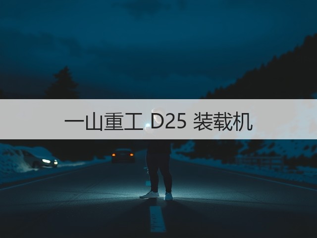 一山重工 D25 装载机(图3) 一山重工 D25 装载机(图3)