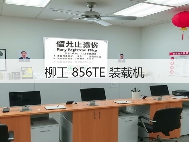 柳工 856TE 装载机(图2)