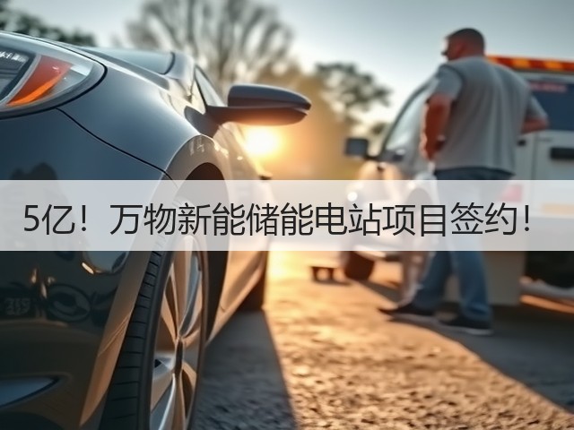 5亿！万物新能储能电站项目签约！(图3)