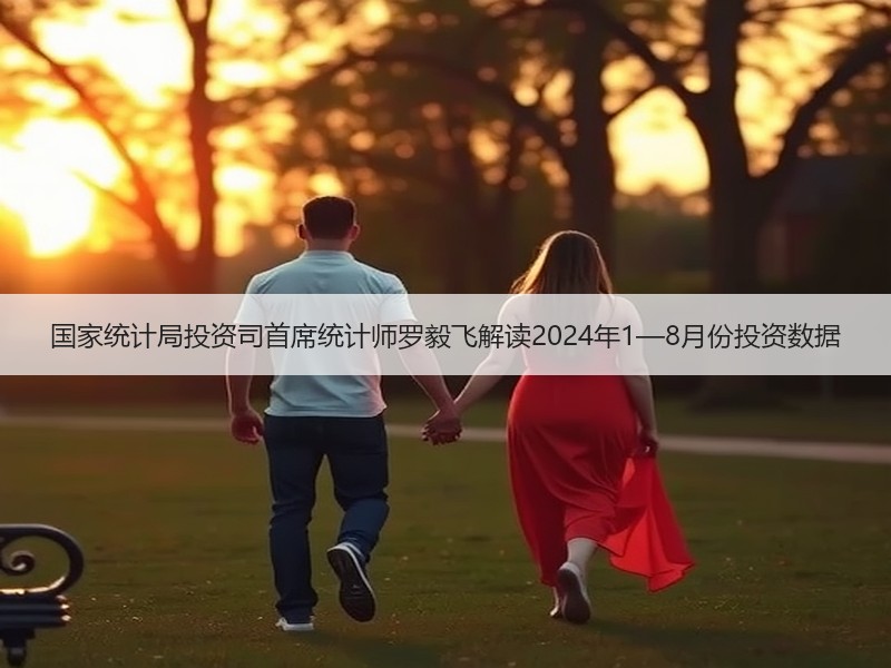 国家统计局投资司首席统计师罗毅飞解读2024年1—8月份投资数据 国家统计局投资司首席统计师罗毅飞解读2024年1—8月份投资数据
