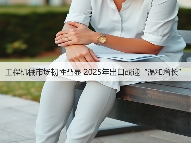 工程机械市场韧性凸显 2025年出口或迎“温和增长”