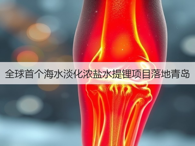 全球首个海水淡化浓盐水提锂项目落地青岛(图2) 全球首个海水淡化浓盐水提锂项目落地青岛(图2)