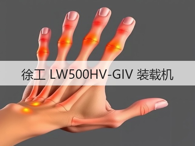 徐工 LW500HV-GIV 装载机(图3)