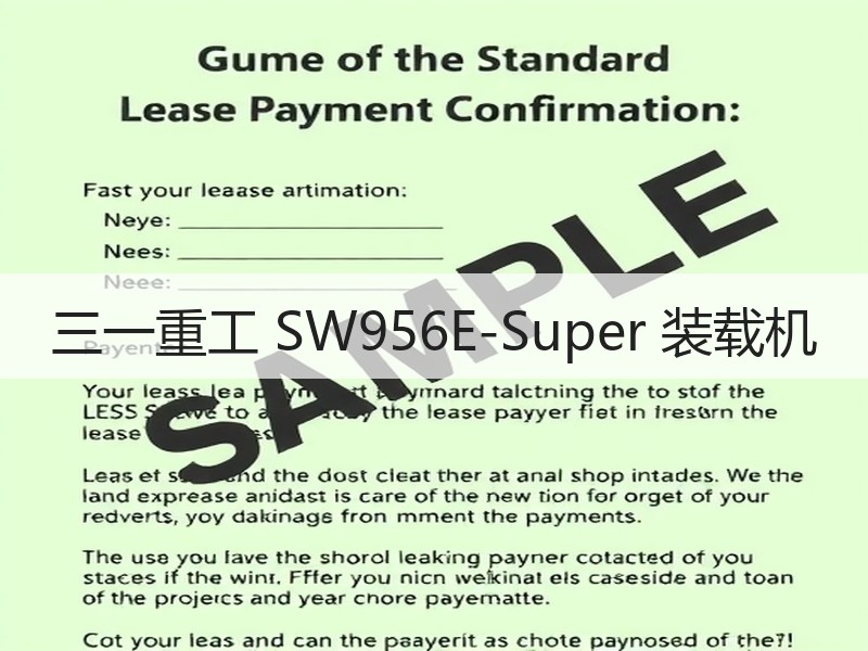 三一重工 SW956E-Super 装载机
