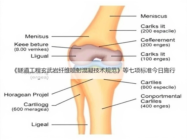 《隧道工程玄武岩纤维喷射混凝技术规范》等七项标准今日施行(图2) 《隧道工程玄武岩纤维喷射混凝技术规范》等七项标准今日施行(图2)