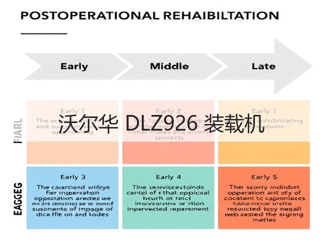 沃尔华 DLZ926 装载机(图2)