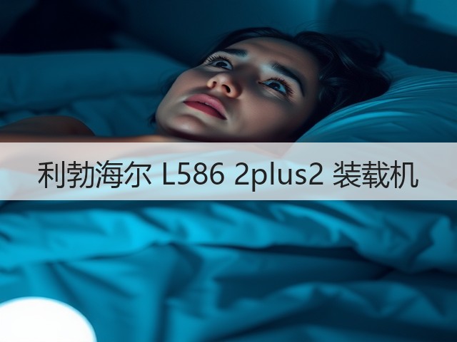 利勃海尔 L586 2plus2 装载机(图2)
