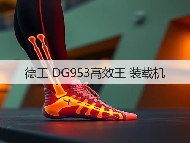 德工 DG953高效王 装载机(图3) 德工 DG953高效王 装载机(图3)