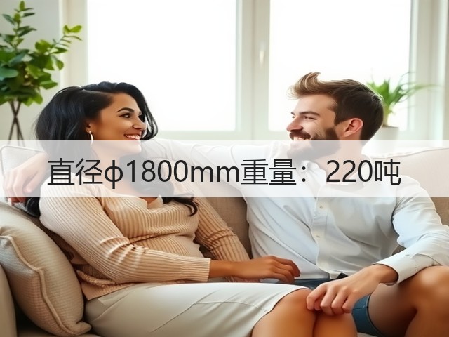 直径ф1800mm重量：220吨(图1)