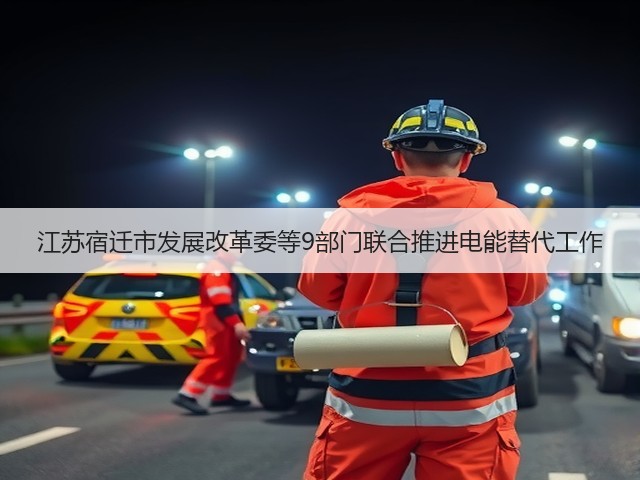 江苏宿迁市发展改革委等9部门联合推进电能替代工作(图2) 江苏宿迁市发展改革委等9部门联合推进电能替代工作(图2)