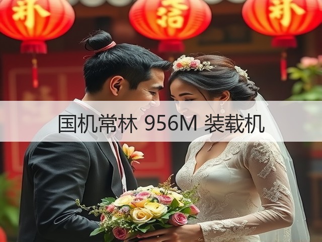 国机常林 956M 装载机(图3) 国机常林 956M 装载机(图3)