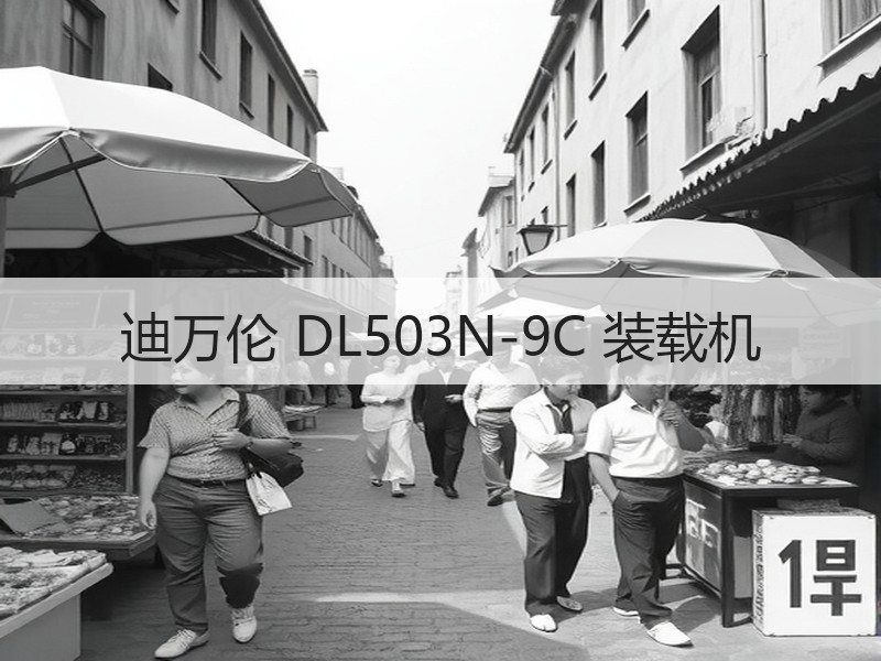 迪万伦 DL503N-9C 装载机 迪万伦 DL503N-9C 装载机