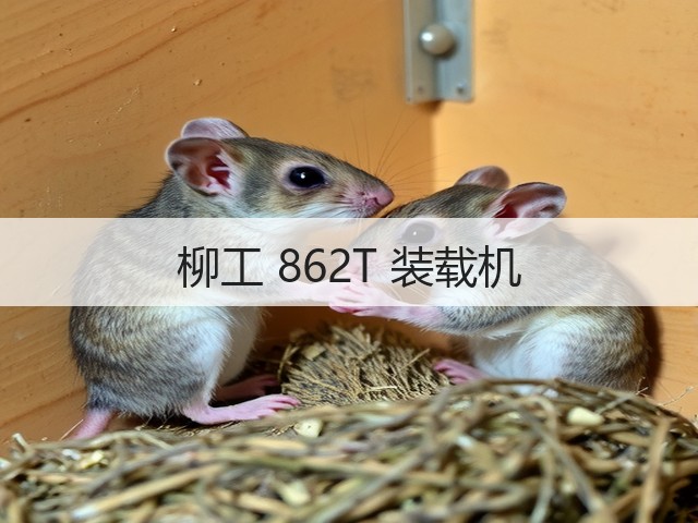柳工 862T 装载机(图2)
