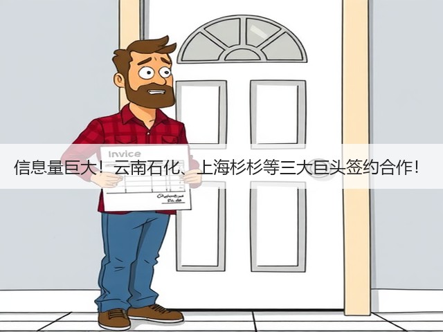 信息量巨大！云南石化、上海杉杉等三大巨头签约合作！(图1)