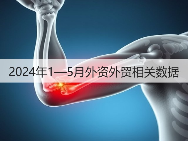 2024年1—5月外资外贸相关数据(图2)