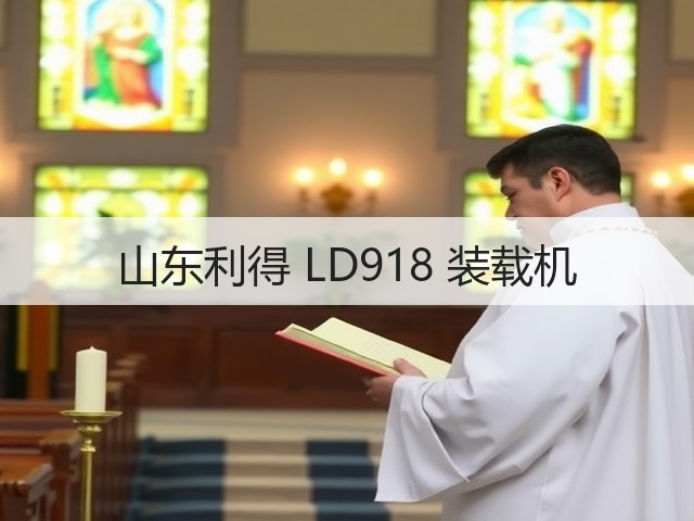山东利得 LD918 装载机(图2)