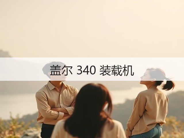 盖尔 340 装载机(图3) 盖尔 340 装载机(图3)