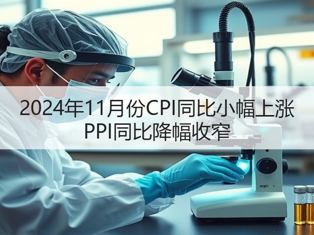 2024年11月份CPI同比小幅上涨 PPI同比降幅收窄(图1)