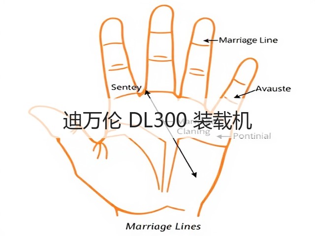 迪万伦 DL300 装载机(图3) 迪万伦 DL300 装载机(图3)