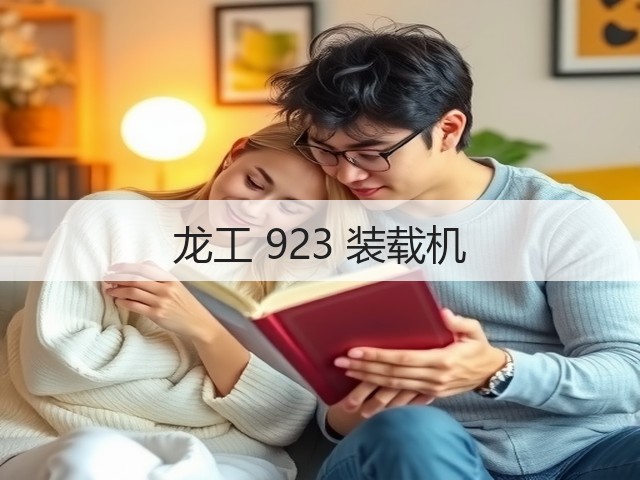 龙工 923 装载机(图2) 龙工 923 装载机(图2)