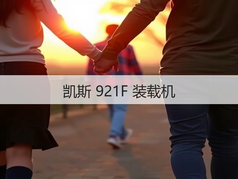 凯斯 921F 装载机 凯斯 921F 装载机