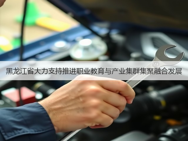 黑龙江省大力支持推进职业教育与产业集群集聚融合发展(图2)