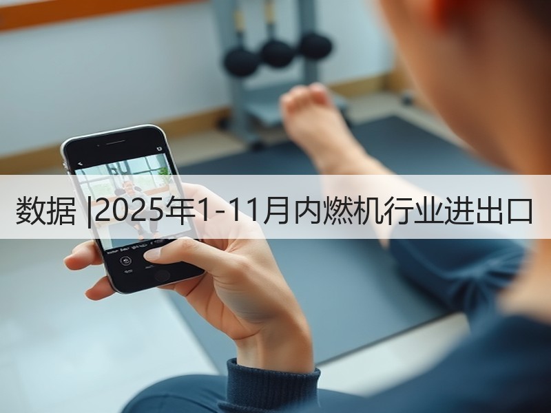 数据 |2025年1-11月内燃机行业进出口