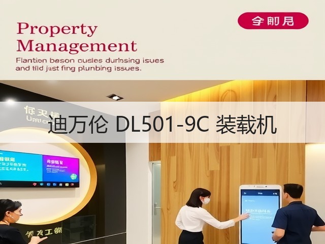 迪万伦 DL501-9C 装载机(图3) 迪万伦 DL501-9C 装载机(图3)