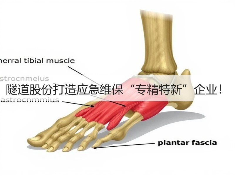 隧道股份打造应急维保“专精特新”企业！