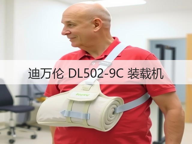 迪万伦 DL502-9C 装载机(图3) 迪万伦 DL502-9C 装载机(图3)