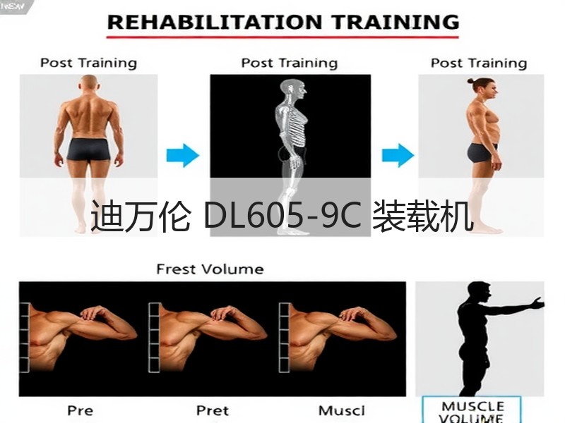 迪万伦 DL605-9C 装载机 迪万伦 DL605-9C 装载机