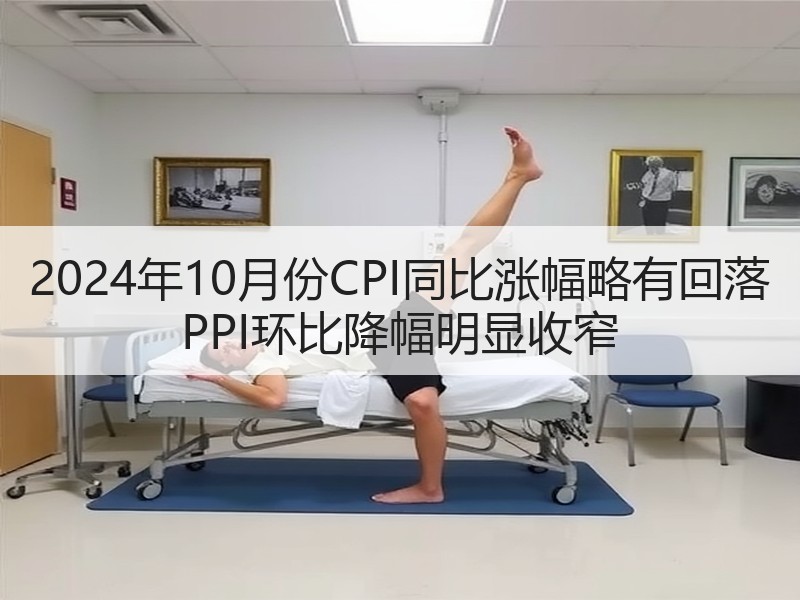 2024年10月份CPI同比涨幅略有回落 PPI环比降幅明显收窄 2024年10月份CPI同比涨幅略有回落 PPI环比降幅明显收窄