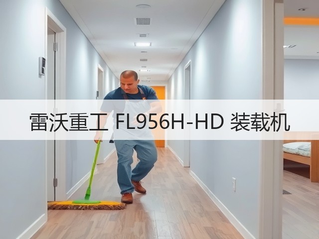 雷沃重工 FL956H-HD 装载机(图3)