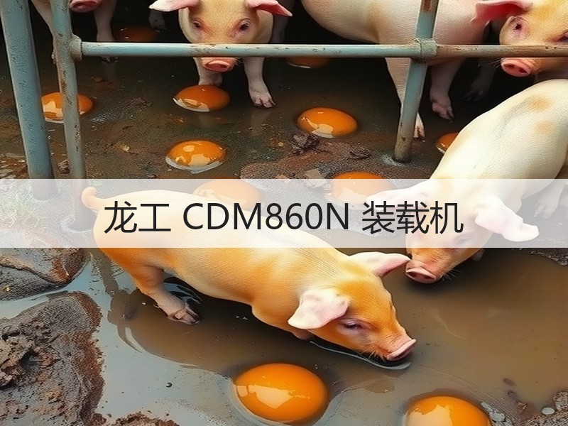 龙工 CDM860N 装载机 龙工 CDM860N 装载机