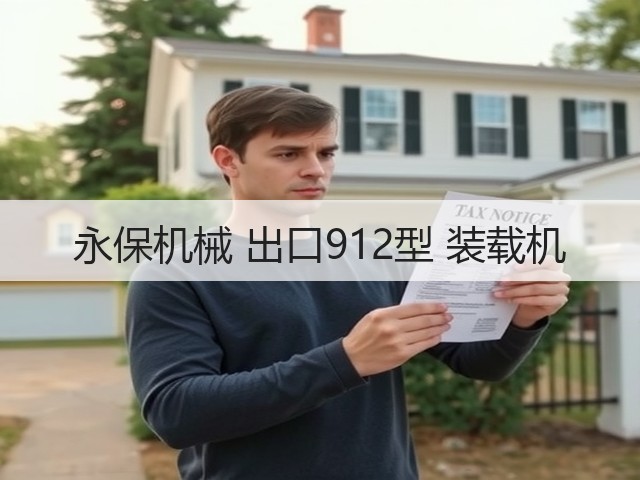 永保机械 出口912型 装载机(图1)