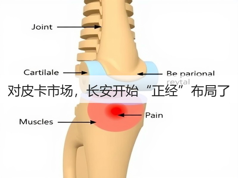 对皮卡市场，长安开始“正经”布局了